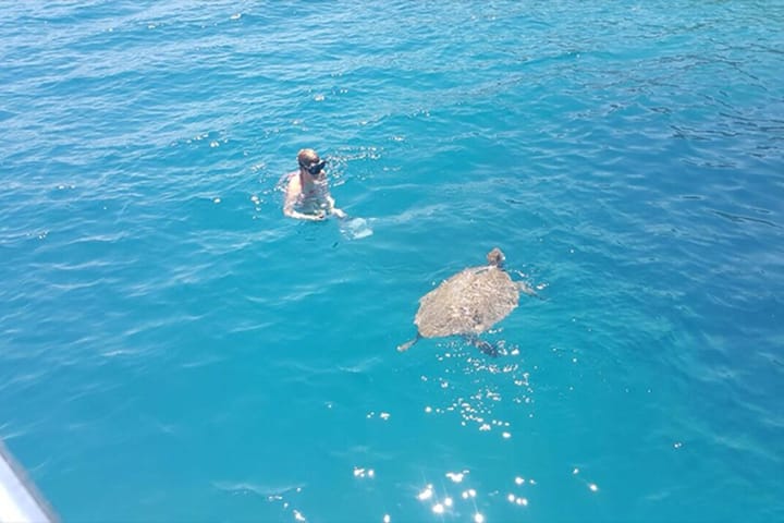 Op maat gemaakt Gulet (1993) voor Charter - Kekova | #10394 - 8