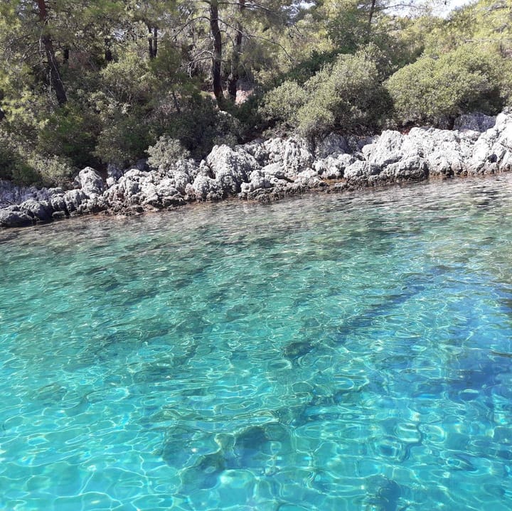 Custom Made Gulet (2020) for Charter - Fethiye | #10420 - 9