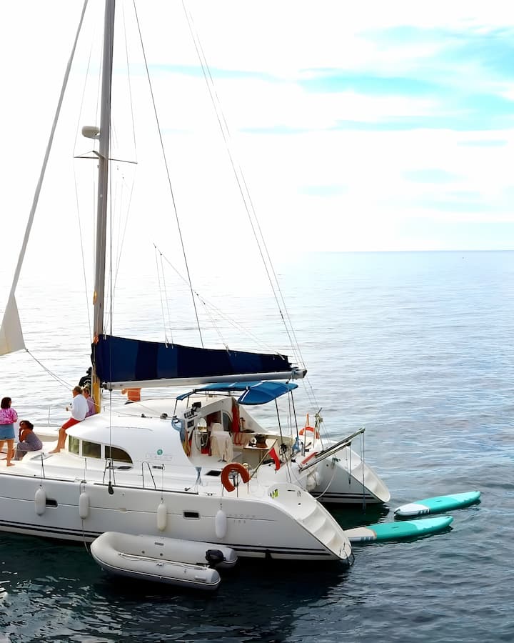 Palma de Mallorca 11.55 m Für Charter Katamaran — #11154 - 9