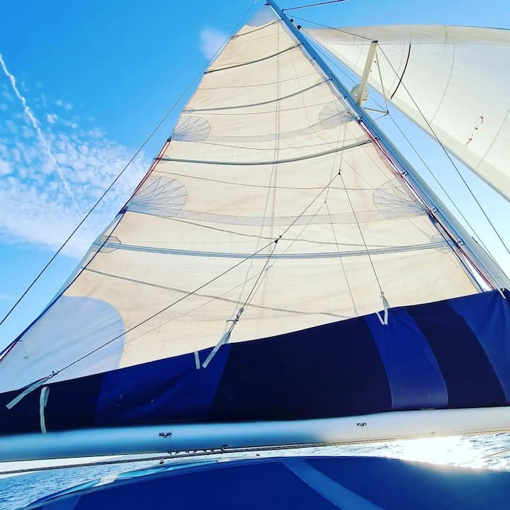 Palma de Mallorca 11.55 m Für Charter Katamaran — #11154 - 12