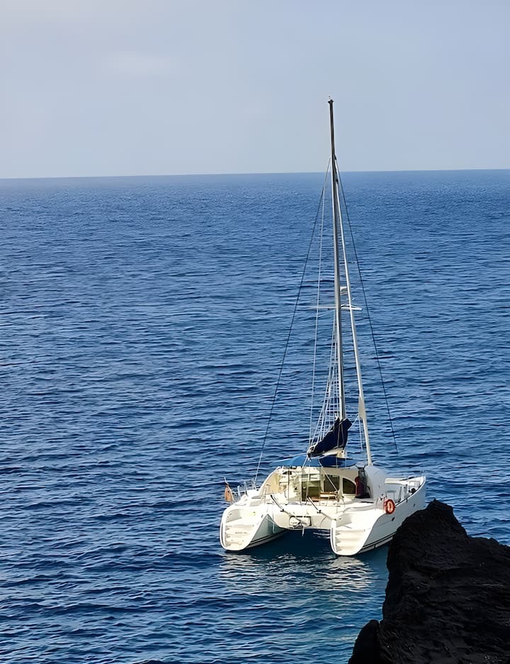 Palma de Mallorca 11.55 m Für Charter Katamaran — #11154 - 6