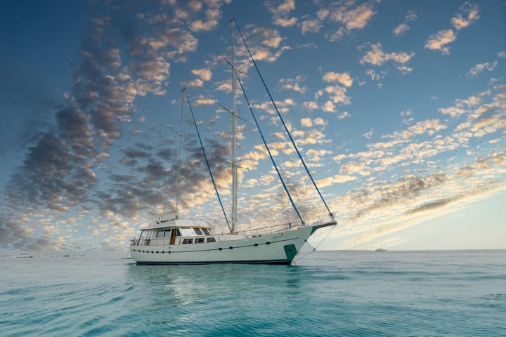 Özel Yapım Kiralık Gulet (1996) - Ibiza | #11505 - 11