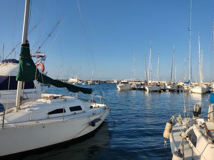  Velero Hanse  445 (2011) para Charter - Valencia | #11612 - 25