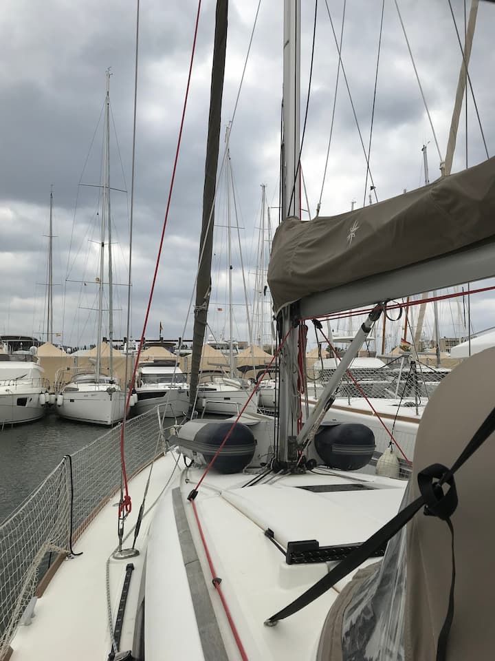 Sailboat Jeanneau Sun Odyssey 379 (2012) for Charter - San Miguel de Abona | #11673 - 5