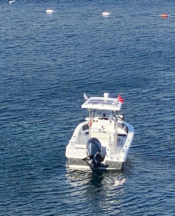 Motorboot Enma Baracuda 680 (2021) für Charter - Bodrum | #12107 - 4