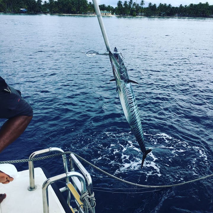 Motoryacht Falcon  76 (2008) für Charter - Hulhumale | #12320 - 23