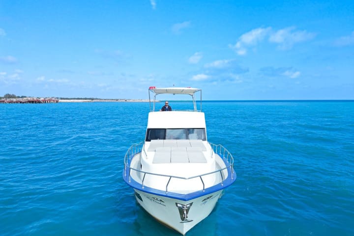 Custom Made,  (2022) - #12783