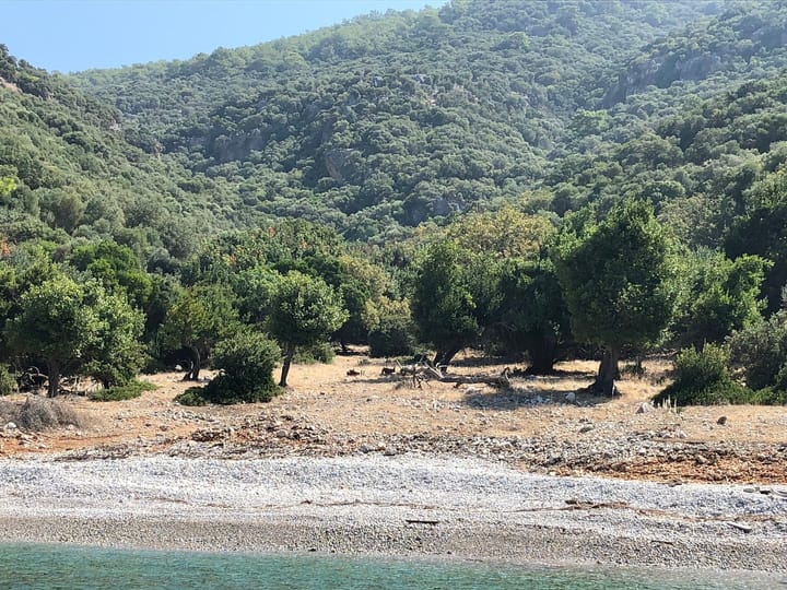 Custom Made Gulet (2016) for Charter - Dalyan | #12927 - 13