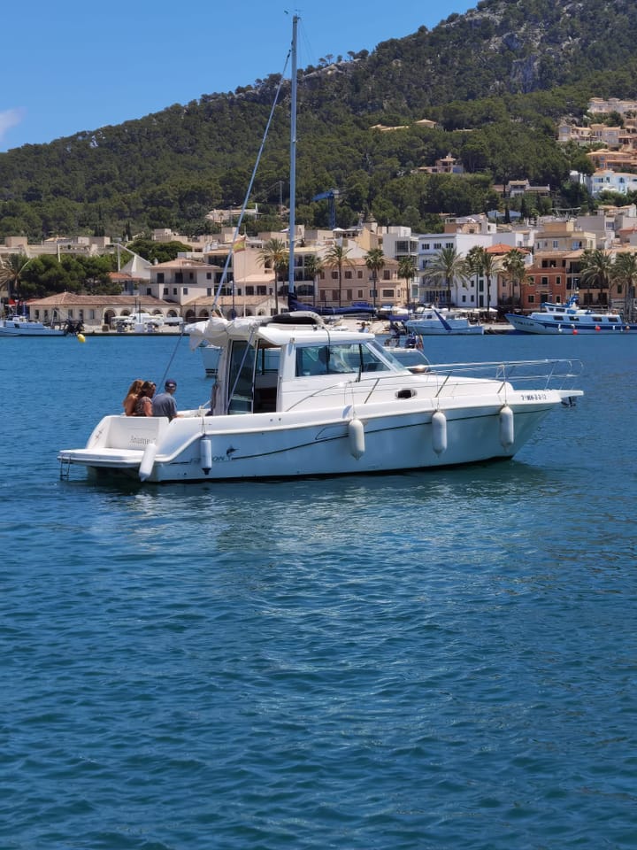 Faeton Moraga 910 Kiralık Sürat Teknesi (2005) - Santa Ponça | #14239 - 7