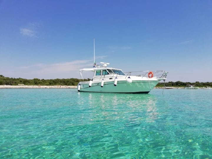 Faeton Moraga 910 Kiralık Sürat Teknesi (2005) - Santa Ponça | #14239 - 3