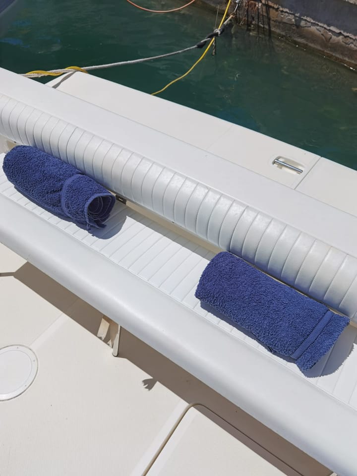 Faeton Moraga 910 Kiralık Sürat Teknesi (2005) - Santa Ponça | #14239 - 4