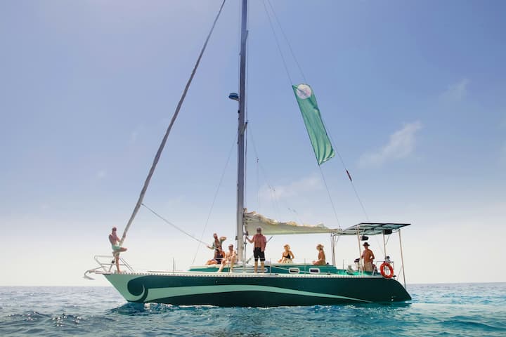 Segelboot Fortuna 40 (2020) für Charter - Ibiza — Santa Eularia des Riu | #14546 - 8