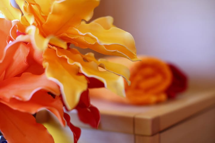  Catamarán Lagoon  52 (2017) para Charter - Sukošan | #14719 - 97