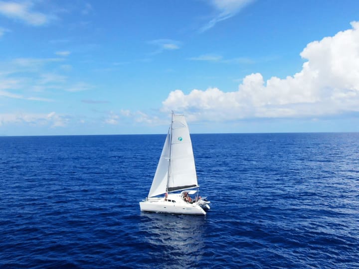 Catamaran Lagoon  380 S2 (2017) for Charter - Porto Rotondo | #15291 - 2