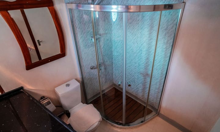 Custom Made Gulet (2019) for Charter - Bodrum | #18214 - 25