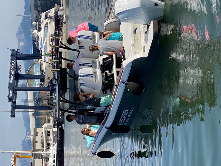  Lancha motora White Shark  285 (2005) para Charter - La Spezia | #1914 - 20