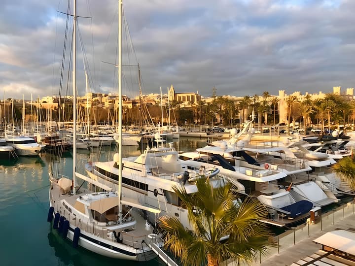 Beneteau Gran Turismo 50 Kiralık Motoryat (2020) - Palma de Mallorca | #19140 - 15