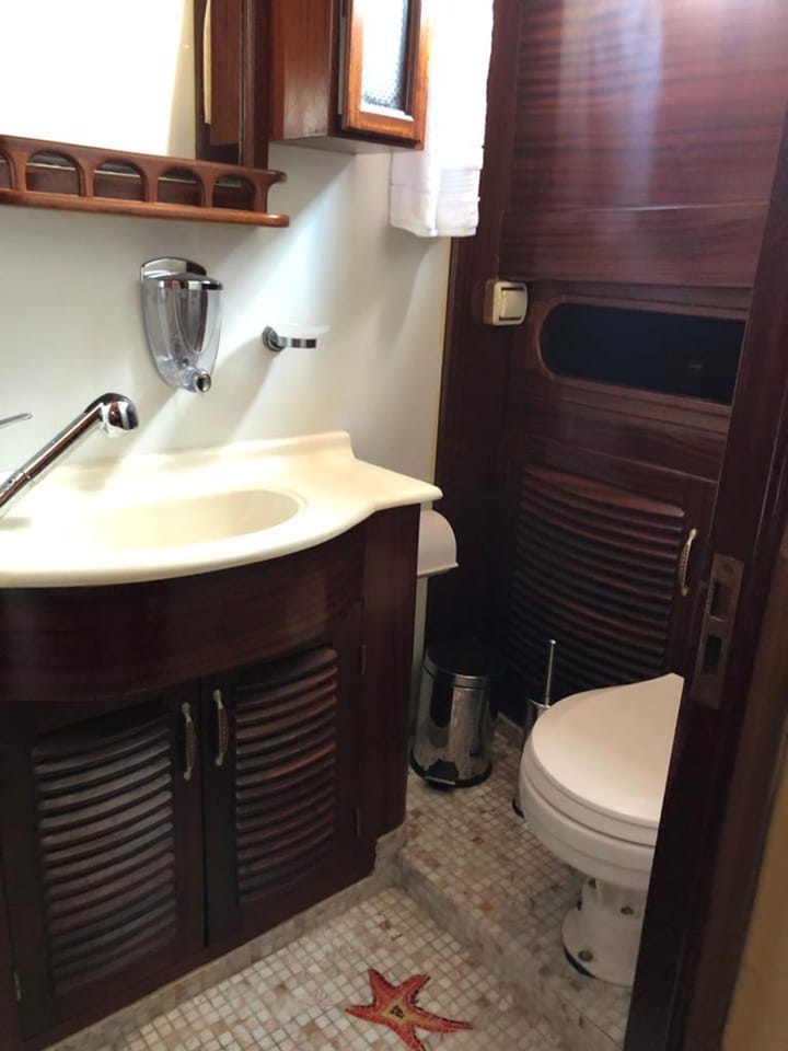 Hecho a medida Goleta (2017) para Charter - Bodrum | #19339  - 18