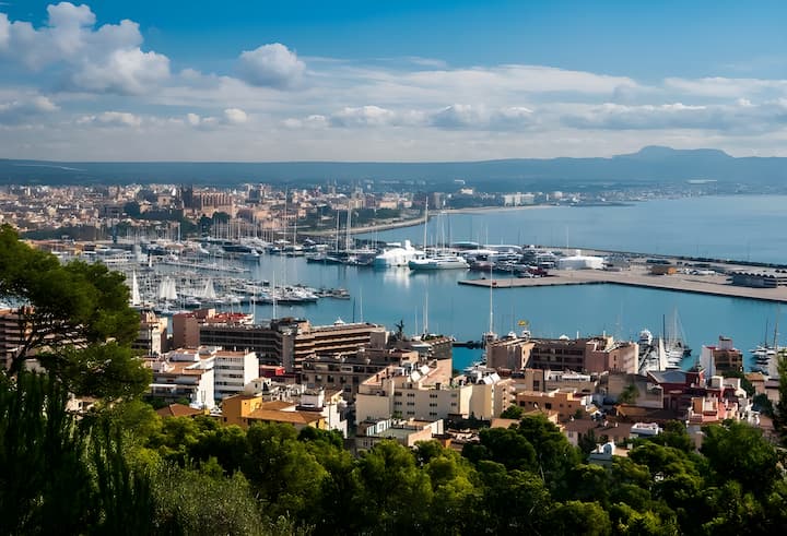 Palma de Mallorca 15.94 m Para Charter Velero - #19512 - 32