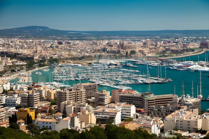 Sailboat Jeanneau Sun Odyssey 410 (2024) for Charter - Palma de Mallorca | #20725 - 25