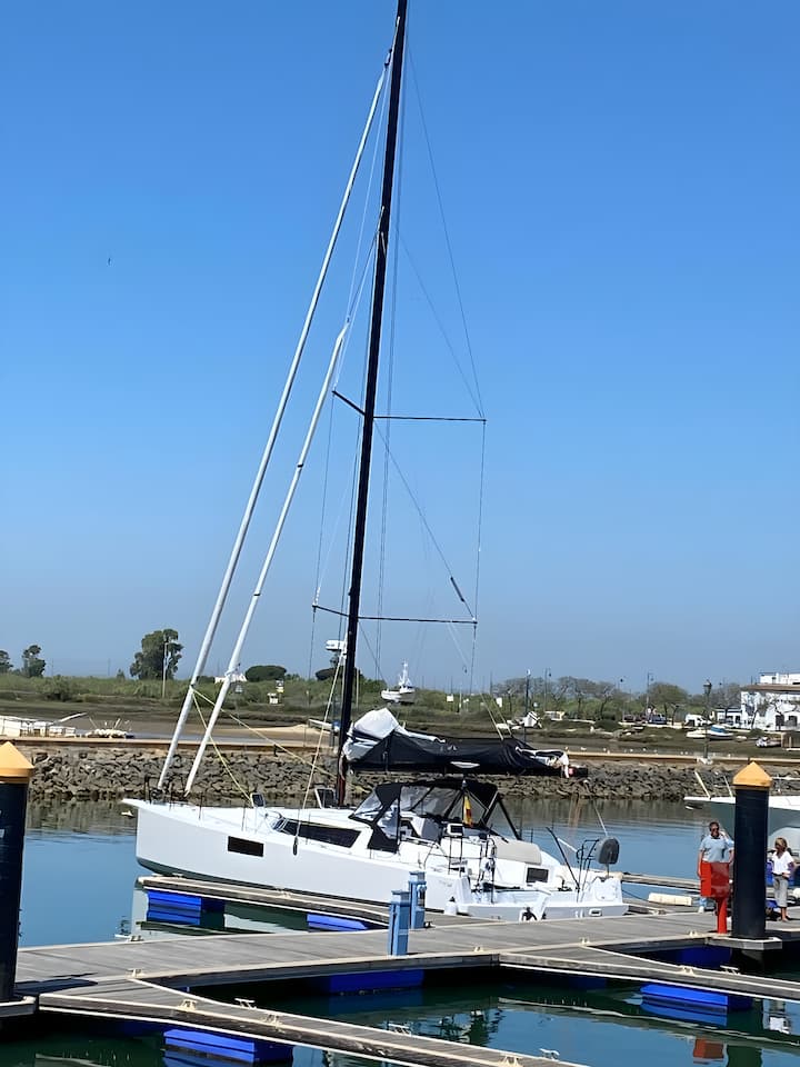 Sailboat Pogo 44 (2024) for Charter - Ayamonte | #20878 - 8