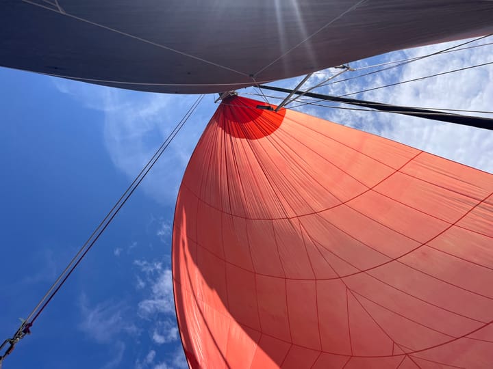  Yate Dragonfly 28 sport (2013) para Charter - Sistiana | #21785 - 30