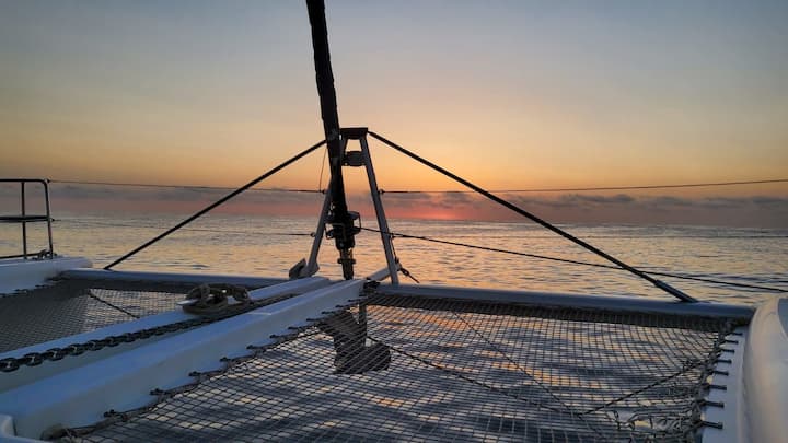 Ibiza 13.96 m Per noleggio Catamarano - #22190 - 5