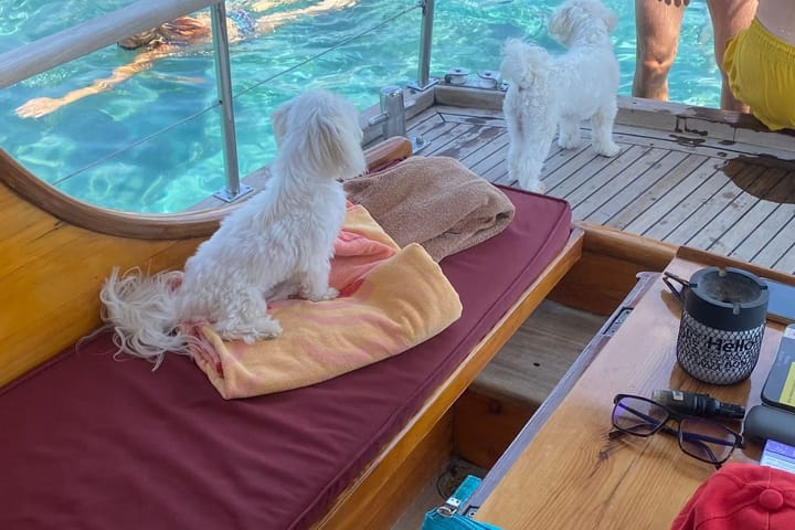 Fait sur mesure Gulet (2024) for Charter - Bodrum | #22405 - 15