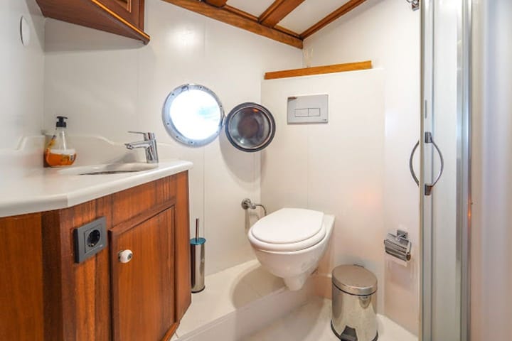 Hecho a medida Goleta (2019) para Charter - Fethiye | #22420  - 30