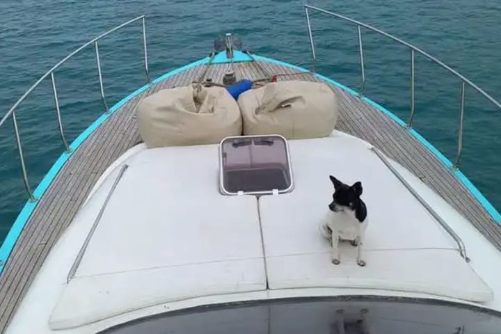 Maßgeschneidert Motoryacht (2009) für Charter - Antalya | #22710 - 8