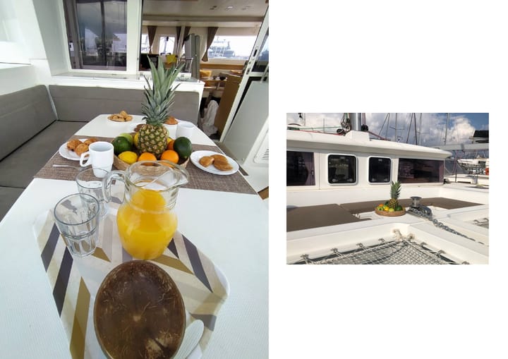 Catamaran Lagoon 450F (2015) for Charter - Athens | #23222 - 4