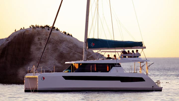 Jachthaven 12.8 m Voor Charter Catamaran - #25251 - 3