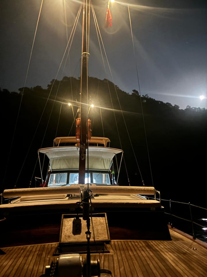 Custom Made Gulet (2016) for Charter - Gocek | #25315 - 7