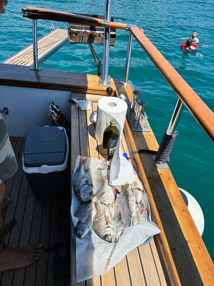 Fait sur mesure  Voilier (1991) pour Charter - Rovinj | # 25509 - 17