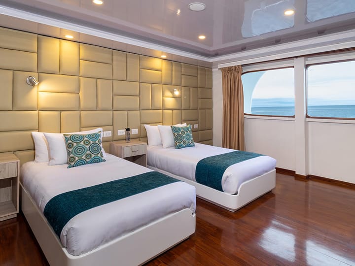 Custom Made Catamaran (2015) for Charter - Baltra | #25598 - 10