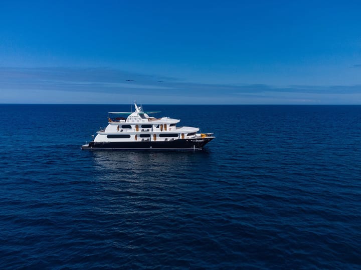 Custom Made Catamaran (2015) for Charter - Baltra | #25598 - 20