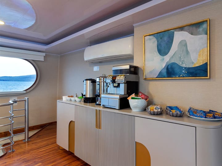 Custom Made Catamaran (2015) for Charter - Baltra | #25598 - 19