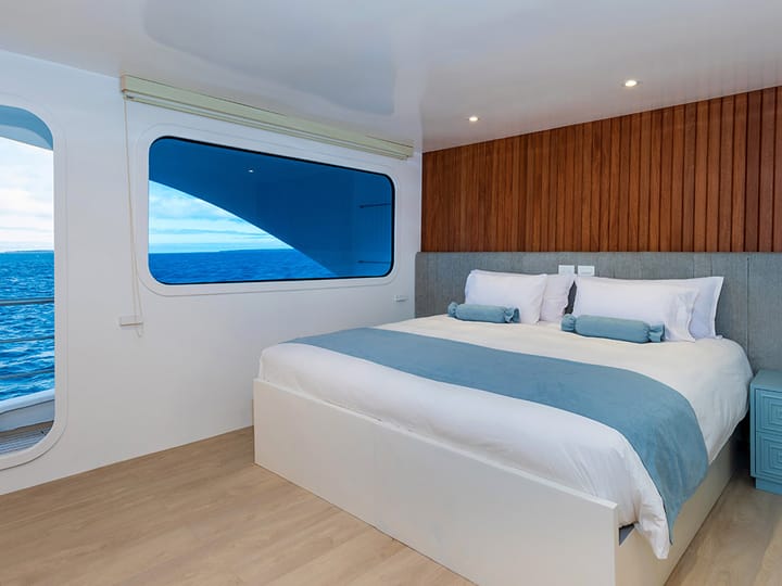 Custom Made Catamaran (2011) for Charter - Puerto Baquerizo Moreno | #25599 - 11