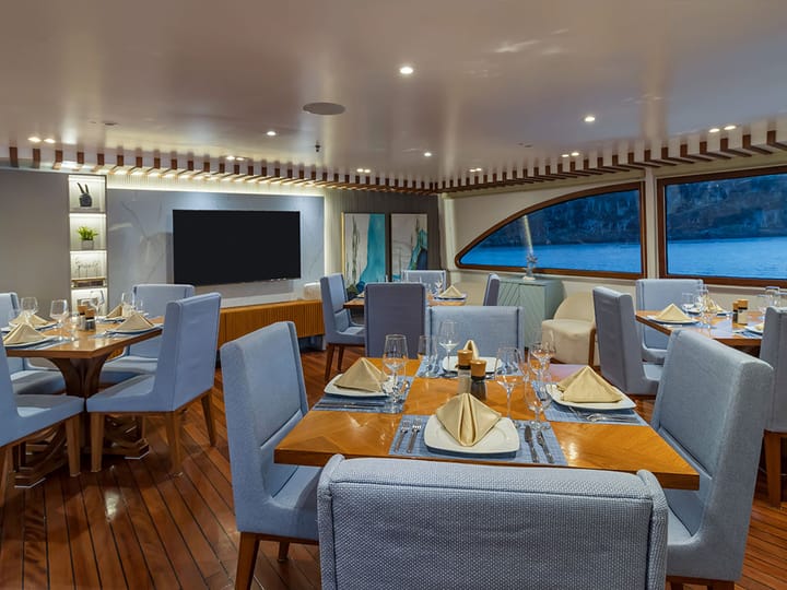 Custom Made Catamaran (2011) for Charter - Puerto Baquerizo Moreno | #25599 - 5