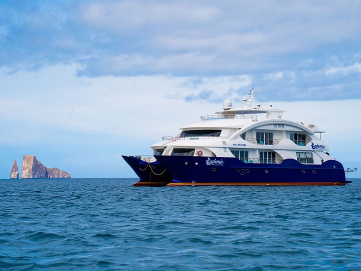 Custom Made Catamaran (2018) for Charter - Baltra | #25600 - 4