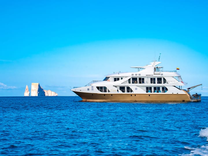 Custom Made Catamaran (2019) for Charter - Puerto Baquerizo Moreno | #25601 - 5