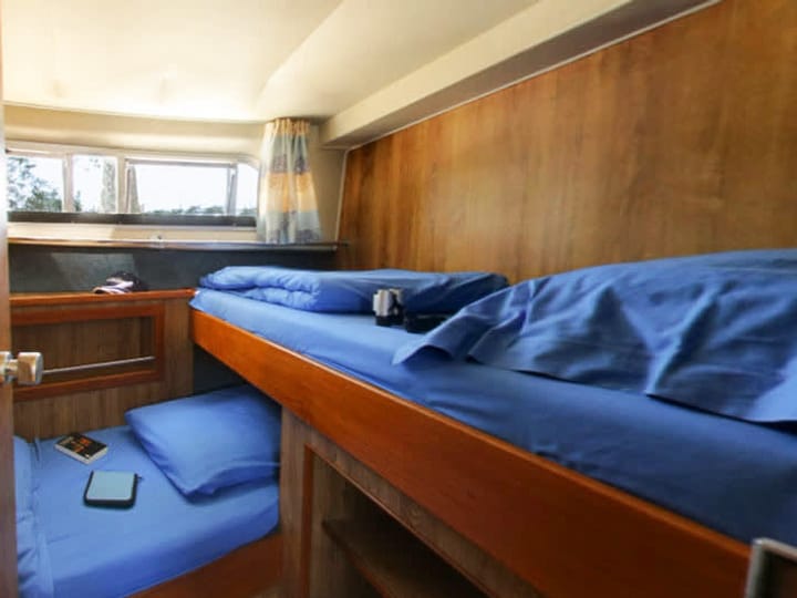 Maßgeschneidert Motorboot (1997) für Charter - Carrick über Shannon | #26739 - 8