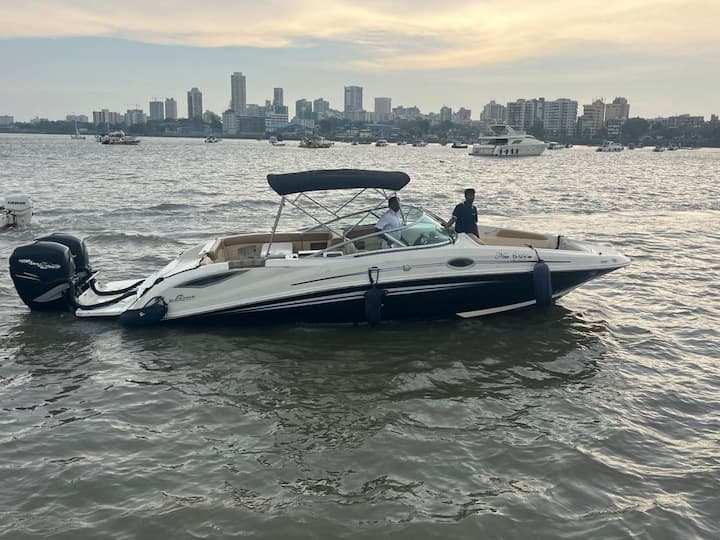 Sea Ray, SDX 290 (2009) - #27116