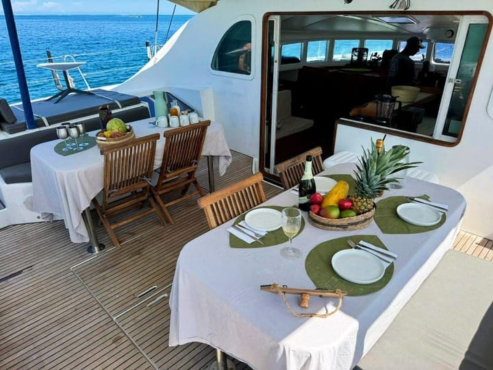 Custom Made Catamaran (2005) for Charter - San Blas Islands | #27165 - 9