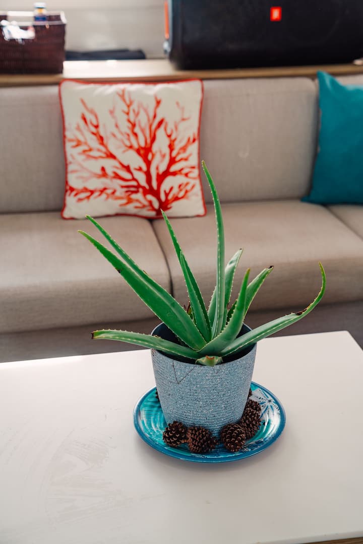 Elba 45 Kiralık Katamaran (2015) - San Blas Islands | #27167 - 18