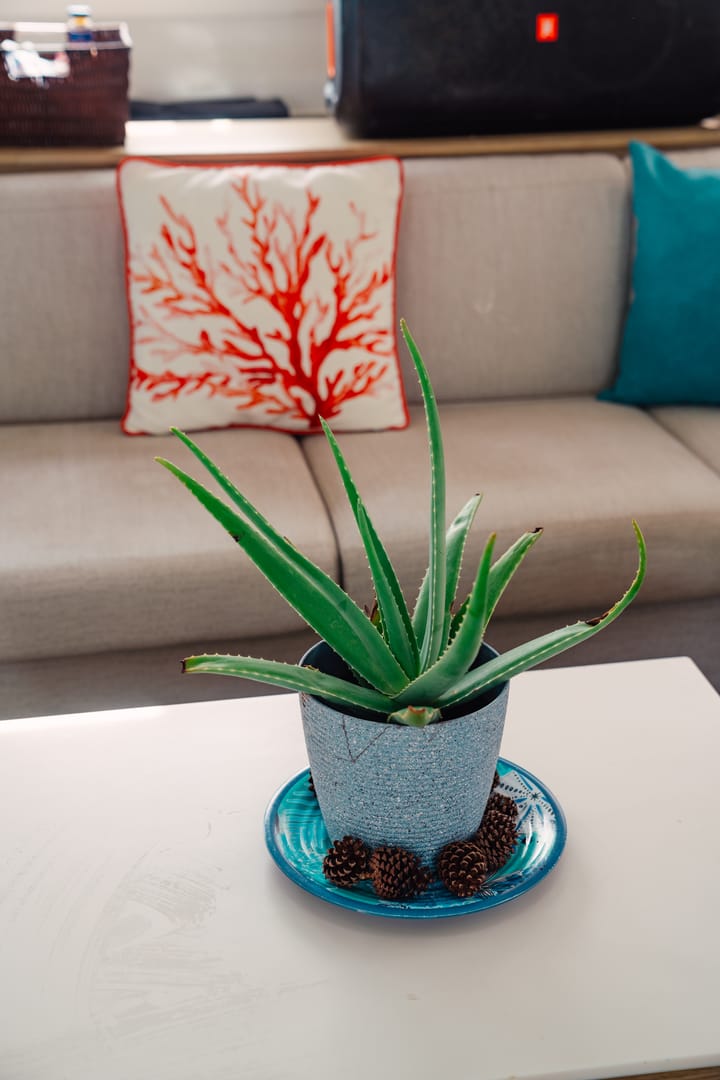 Catamaran Elba 45 (2015) for Charter - San Blas Islands | #27167 - 18