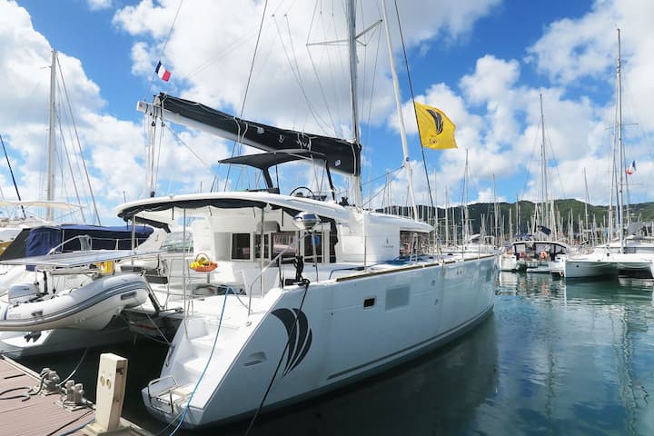 Catamaran Lagoon  450 (2019) for Charter - Quiberon | #27482 - 20