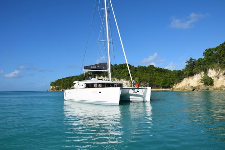 Catamaran Lagoon  450 (2019) for Charter - Quiberon | #27482 - 16