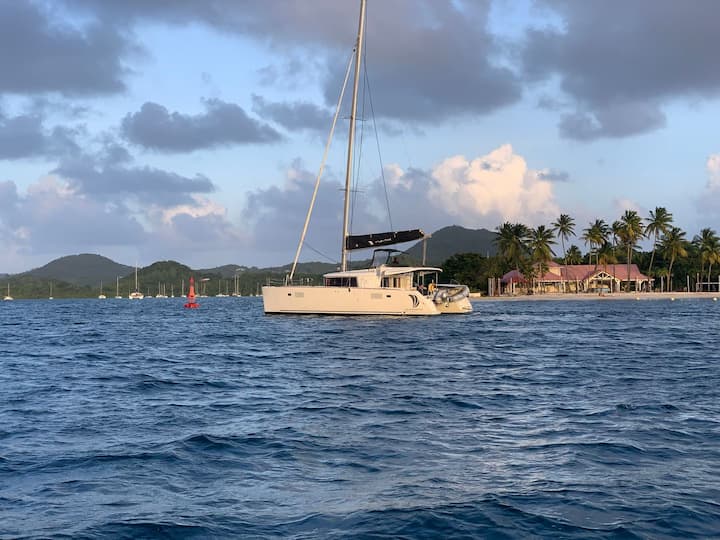 Catamaran Lagoon  450 (2019) for Charter - Quiberon | #27482 - 8