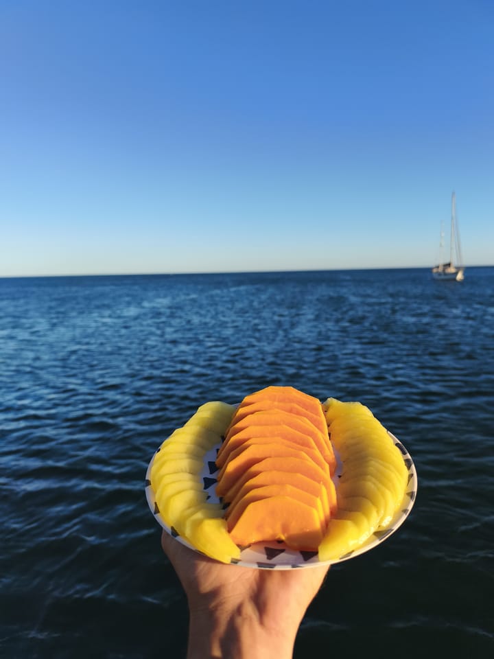 Catamaran Fountaine Pajot 44 (2026) for Charter - Portimao | #27817 - 25